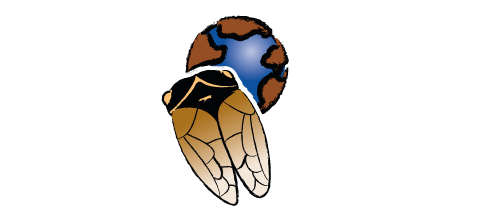 Cigale Voyages